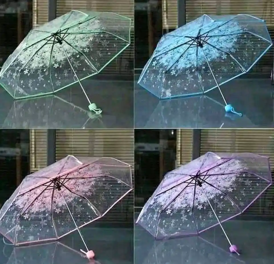 Transparent Umbrella