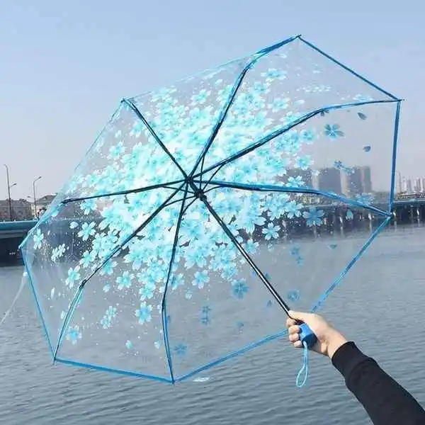 Transparent Umbrella
