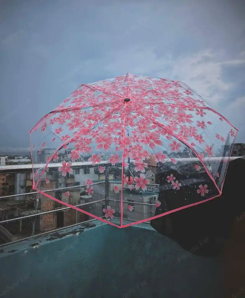 Transparent Umbrella
