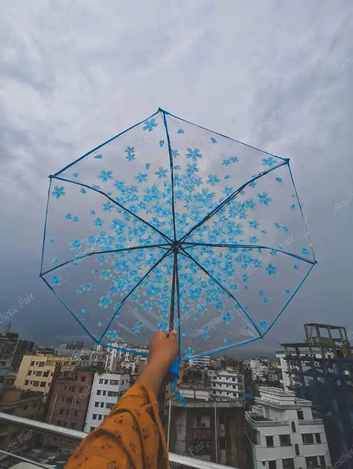 Transparent Umbrella