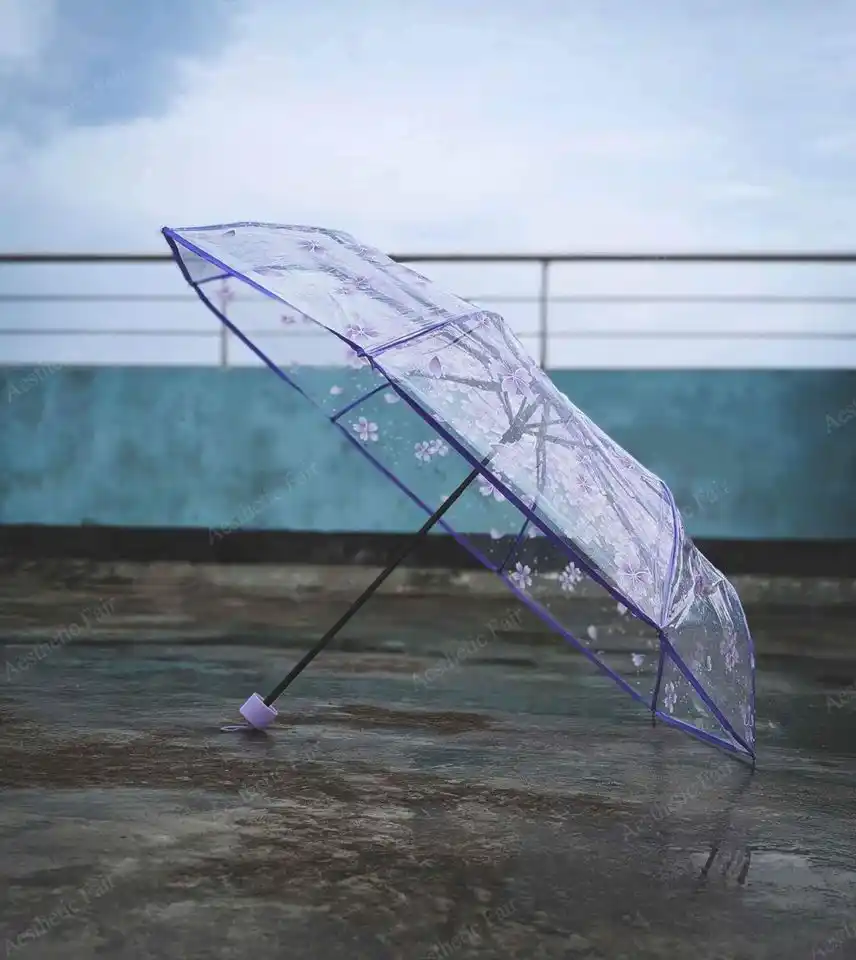 Transparent Umbrella