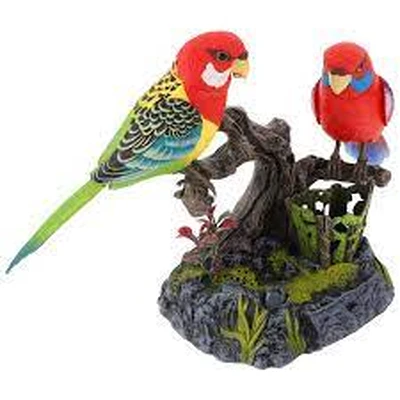 Ensemble Beautiful Birds