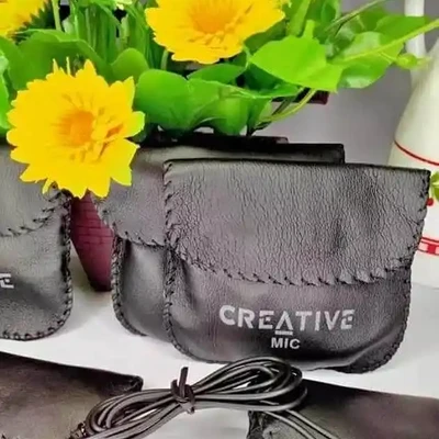 Creative mic earphone