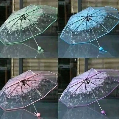 Transparent Umbrella